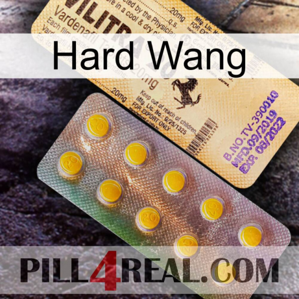 Hard Wang new06.jpg